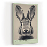 Paul Sinus Wandbild in 40x60cm Bunny Mode: On – Humorvolles Kaninchenporträt in Schwarz-Weiß mit neugierigem Blick