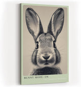 Paul Sinus Wandbild in 40x60cm Bunny Mode: On – Humorvolles Kaninchenporträt in Schwarz-Weiß mit neugierigem Blick