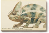 Paul Sinus Wandbild 120x80cm Chamäleon Illustration moderne Tierkunst Naturfarben detailreiches Reptilien Kunstbild stilvolle Wanddekoration für Wohnzimmer Büro Kinderzimmer