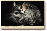 Paul Sinus Wandbild 120x80cm Chinchilla Tierporträt realistische Tierfotografie graues Fell kleines Nagetier modernes Tiermotiv Wanddekoration für Wohnzimmer Kinderzimmer Büro