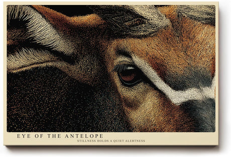 Paul Sinus Wandbild 120x80cm Eye of the Antelope Detailreiches Tierportrait Antilope Natur Kunst fuer Wohnzimmer Büro und Flur