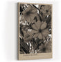 Paul Sinus Wandbild in 40x60cm Faded Bloom – Sepiafarbene Blüten im nostalgischen Stil mit malerischer Struktur