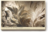 Paul Sinus Wandbild 120x80cm Feathers in Quiet Light elegante Federn Struktur Kunst in warmen Naturtönen Poster für Wohnzimmer Schlafzimmer