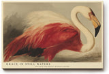 Paul Sinus Wandbild 120x80cm Flamingo Tierkunst modern rot weiss elegante Vogel Malerei Kunstdruck grosses Kunstbild stilvolle Wanddekoration fuer Wohnzimmer Büro Flur