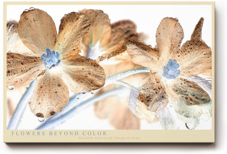 Paul Sinus Wandbild 120x80cm Flowers Beyond Color abstrakte Blumen Makro Kunst in surrealen Farben moderne Natur Fotokunst Poster für Wohnzimmer Schlafzimmer