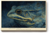 Paul Sinus Wandbild 120x80cm Frosch Portrait mystische Tierkunst blau gold moderne Illustration Wanddekoration fuer Wohnzimmer Büro