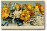 Paul Sinus Wandbild 120x80cm Gelber Blumenstrauss Stillleben Kunst in warmen Naturfarben fuer Wohnzimmer Schlafzimmer und Esszimmer