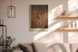 Paul Sinus Wandbild in 40x60cm Gelber Singvogel auf taubenetztem Zweig in Morgenstimmung