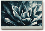 Paul Sinus Wandbild 120x80cm Glacial Petals in Shadow Abstrakte Bluetenstruktur in Blau Moderner Natur Kunststil fuer Wohnzimmer Schlafzimmer und Büro