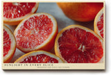 Paul Sinus Wandbild 120x80cm Grapefruit Makrofotografie frische Zitrusfrucht moderne Kuechenkunst lebendige Farben stilvolle Wanddekoration fuer Kueche Esszimmer Wohnzimmer