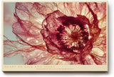 Paul Sinus Wandbild 120x80cm Heart of Silk and Light abstrakte Blüte Makro Natur Fotokunst in Rot und Gold Poster für Wohnzimmer Schlafzimmer