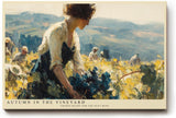 Paul Sinus Wandbild 120x80cm Herbst im Weinberg – Impressionistische Landschaft mit Weinlese Szene für stilvolle Wohnräume