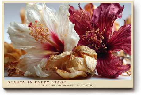Paul Sinus Wandbild 120x80cm Hibiskus Blumen Stillleben Fotokunst rot creme natur Kunstdruck elegantes Blumenmotiv moderne Wanddekoration für Wohnzimmer