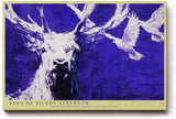 Paul Sinus Wandbild 120x80cm Hirsch Blau Weiss Tier Kunst Moderne Illustration Kraftvolles Naturmotiv mit Hirsch und fliegenden Voegeln