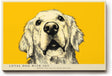Paul Sinus Wandbild 120x80cm Hund Portrait moderne Tierillustration gelber Hintergrund Kunstdruck stilvolle Wanddekoration fuer Wohnzimmer Flur Büro Tierliebhaber