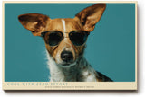 Paul Sinus Wandbild 120x80cm Hund mit Sonnenbrille modernes Tierportraet lustige Tierkunst stilvolle Wanddekoration fuer Wohnzimmer Büro