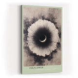 Paul Sinus Wandbild in 40x60cm Inkflower Abstraktes Schwarz-Weiß-Motiv mit blütenähnlicher, radialer Struktur und dunklem Zentrum