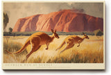 Paul Sinus Wandbild 120x80cm Kängurus in Australien Landschaft Illustration Outback Naturkunst für Wohnzimmer Büro Flur