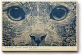 Paul Sinus Wandbild 120x80cm Katzenporträt in Linienkunst – Detailreiche Tierillustration mit grafischer Struktur