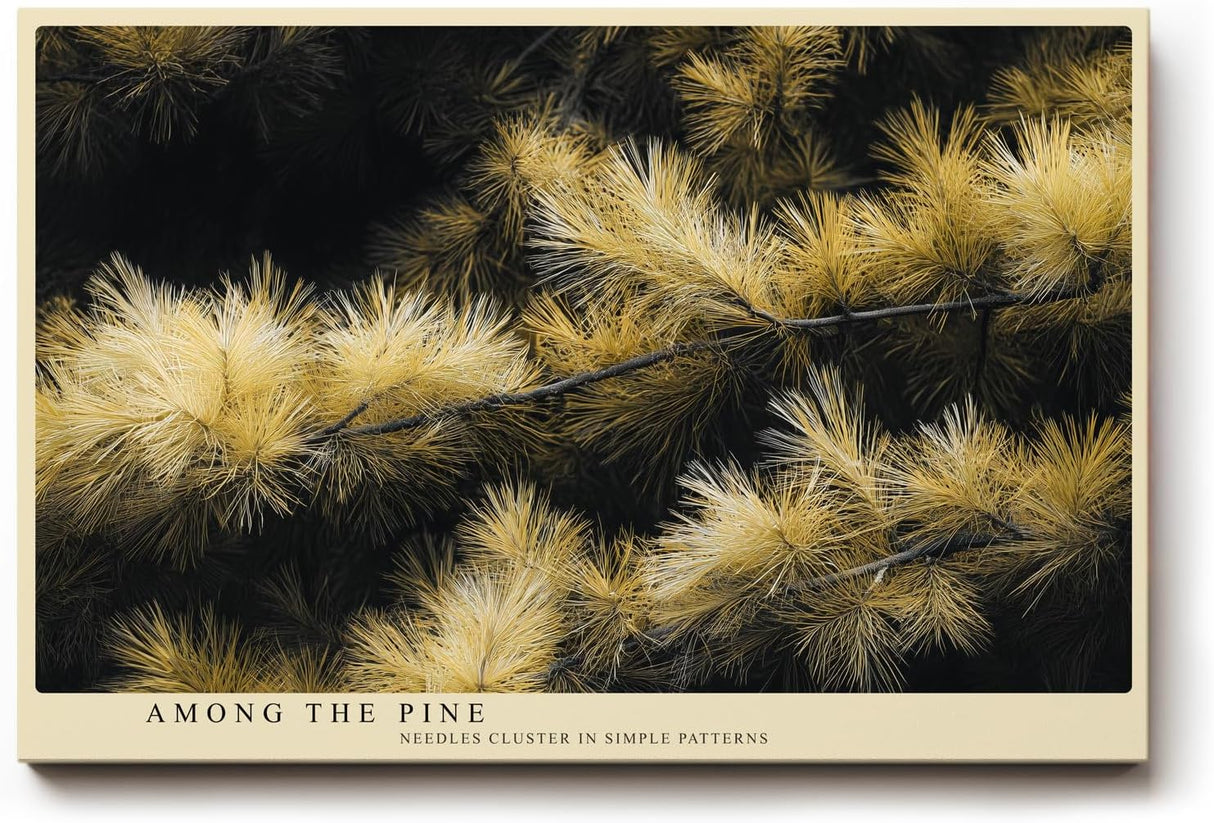 Paul Sinus Wandbild 120x80cm Kiefernzweige Naturfotografie goldene Nadeln botanische Naturkunst moderne Wanddekoration fuer Wohnzimmer Büro