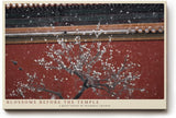 Paul Sinus Wandbild 120x80cm Kirschblueten vor Tempel asiatische Architektur Fruehlingsmotiv ruhige Naturfotografie stilvolle Wanddekoration fuer Wohnzimmer Büro