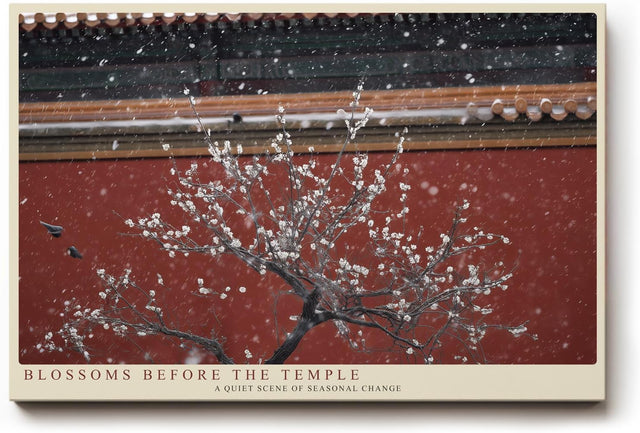 Paul Sinus Wandbild 120x80cm Kirschblueten vor Tempel asiatische Architektur Fruehlingsmotiv ruhige Naturfotografie stilvolle Wanddekoration fuer Wohnzimmer Büro