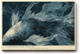 Paul Sinus Wandbild 120x80cm Koi Fisch Unterwasser Kunst eleganter Fisch im Wasser blau graue Farben moderne Natur Wanddekoration fuer Wohnzimmer Büro