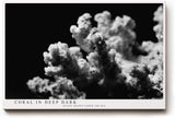 Paul Sinus Wandbild 120x80cm Koralle schwarz weiß Fotokunst Meeresmotiv minimalistische Unterwasser Natur Kunst modernes Wandbild 120x80cm stilvolle