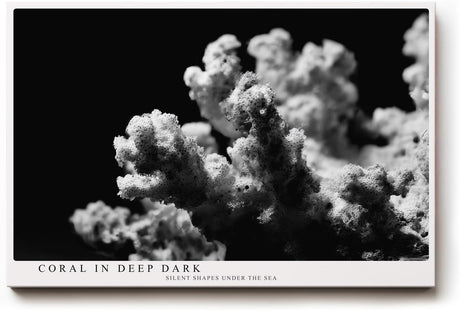 Paul Sinus Wandbild 120x80cm Koralle schwarz weiß Fotokunst Meeresmotiv minimalistische Unterwasser Natur Kunst modernes Wandbild 120x80cm stilvolle