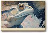 Paul Sinus Wandbild 120x80cm Kosmischer Frosch Fantasie Tierkunst LeinWandbild 120x80cm Mystische Natur Wanddekoration