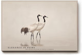 Paul Sinus Wandbild 120x80cm Kraniche Paar Natur Fotokunst elegante Vögel im Wasser ruhiges Tiermotiv modernes Naturbild für Wohnzimmer Büro