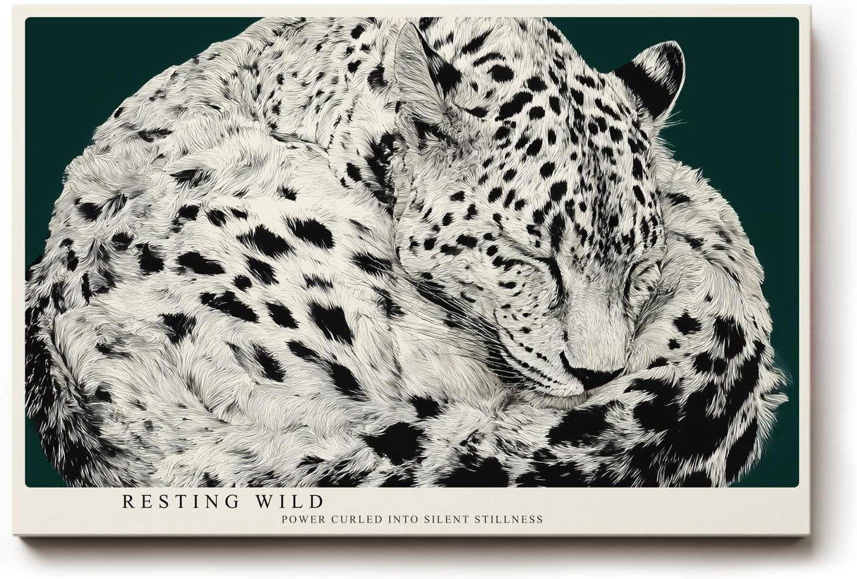 Paul Sinus Wandbild 120x80cm Leopard schlafend schwarz weiss moderne Tierillustration grosses Tier Kunstbild stilvolle Wanddekoration fuer Wohnzimmer Büro