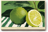 Paul Sinus Wandbild 120x80cm Limette Zitrusfrucht Stillleben grüne Küche Kunst moderne Food Illustration frische Zitrus Dekoration für Küche Esszimmer Café Restaurant