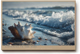 Paul Sinus Wandbild 120x80cm Listening to the Tide Muschel am Strand mit Wellen Maritime Natur Kunst fuer Wohnzimmer Schlafzimmer Bad und Büro