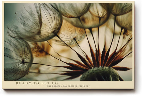 Paul Sinus Wandbild 120x80cm Loewenzahn Makrofotografie Samen Natur Kunstmotiv mit sanften Farben stilvolle Wanddekoration fuer Wohnzimmer Flur
