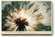 Paul Sinus Wandbild 120x80cm Loewenzahn Samen Makro Naturfotografie modern gruen gold Kunstdruck grosses Natur Kunstbild elegante Wanddekoration fuer Wohnzimmer Büro
