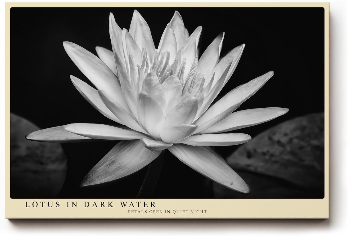 Paul Sinus Wandbild 120x80cm Lotusblüte schwarz weiß Fotokunst minimalistische Blume elegantes Naturmotiv stilvolle Wanddekoration für Wohnzimmer Schlafzimmer Spa Büro