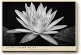 Paul Sinus Wandbild 120x80cm Lotusblüte schwarz weiß Fotokunst minimalistische Blume elegantes Naturmotiv stilvolle Wanddekoration für Wohnzimmer Schlafzimmer Spa Büro