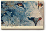 Paul Sinus Wandbild 120x80cm Löwe Sternenblüten Kunst LeinWandbild 120x80cm Mystisches Tierportrait Wanddekoration