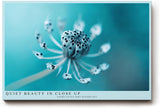 Paul Sinus Wandbild 120x80cm Makrofotografie Pflanze türkis minimalistische Naturfotografie ruhige Farben botanisches Kunstbild moderne