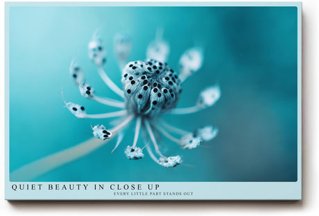 Paul Sinus Wandbild 120x80cm Makrofotografie Pflanze türkis minimalistische Naturfotografie ruhige Farben botanisches Kunstbild moderne