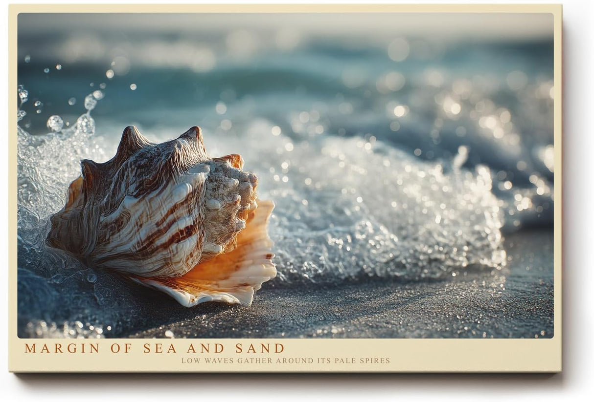 Paul Sinus Wandbild 120x80cm Margin of Sea and Sand Muschel im Meerschaum Strand Natur Kunst fuer Wohnzimmer Schlafzimmer Bad und Büro