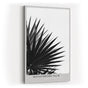 Paul Sinus Wandbild in 40x60cm Monochrome Palm – stilvolle Palmenblätter in kontrastreicher Schwarz-Weiß-Fotografie für moderne Räume