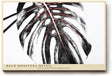 Paul Sinus Wandbild 120x80cm Monstera Blatt Detail Schwarz Weiss mit roten Linien moderne botanische Kunst Makro Pflanzenbild für Wohnzimmer Büro