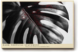 Paul Sinus Wandbild 120x80cm Monstera Blatt Schwarz Weiss Fotokunst tropische Pflanzen Makroaufnahme modernes Natur Kunstbild für Wohnzimmer Büro