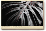 Paul Sinus Wandbild 120x80cm Monstera Blatt dunkel minimalistische Pflanzenkunst schwarz weiss moderne botanische Wanddekoration fuer Wohnzimmer Büro