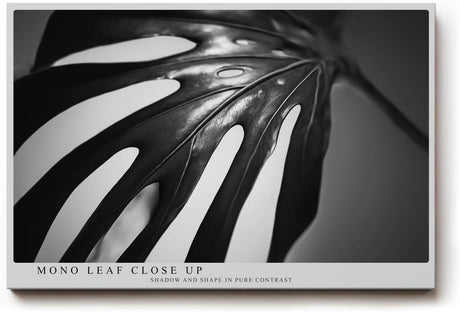 Paul Sinus Wandbild 120x80cm Monstera Blatt schwarz weiß Makro Pflanzenstruktur minimalistische Naturfotografie moderne botanische