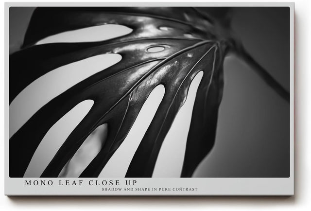 Paul Sinus Wandbild 120x80cm Monstera Blatt schwarz weiß Makro Pflanzenstruktur minimalistische Naturfotografie moderne botanische
