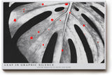 Paul Sinus Wandbild 120x80cm Monstera Blatt schwarz weiss minimalistische Natur Kunst modern grafisches Blattmotiv Kunstdruck grosses Wandbild 120x80cm elegante Wanddekoration fuer Wohnzimmer Büro