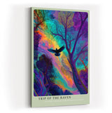 Paul Sinus Wandbild in 40x60cm Mystischer Rabe im farbintensiven Wald – surreales Kunstwerk mit leuchtenden Regenbogenfarben